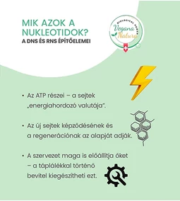 Nukleotidok – a mikrotápanyag-terápia elfeledett alapja