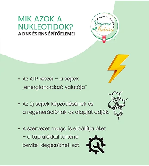 Nukleotidok – a mikrotápanyag-terápia elfeledett alapja