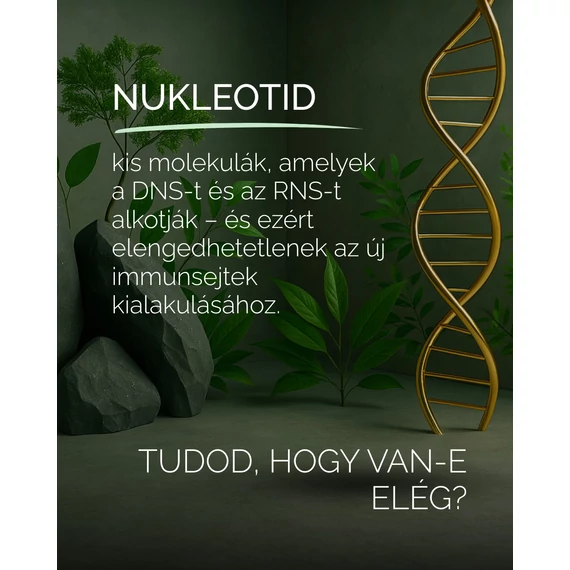 Bélrendszer egyensúlya és a nyálkahártya épsége