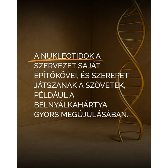 Immunrendszer erősítése