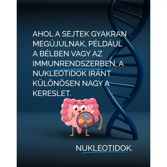 Colon & Cell PRO – bélrendszert támogató nukleotid komplex 60 kapszula 