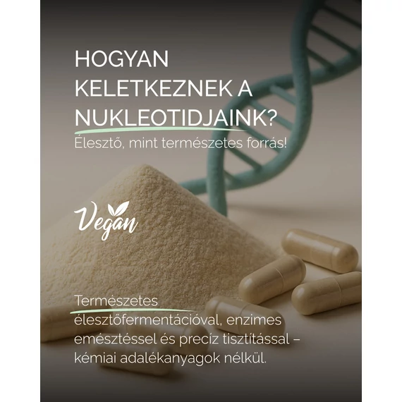 Bélrendszer egyensúlya és a nyálkahártya épsége