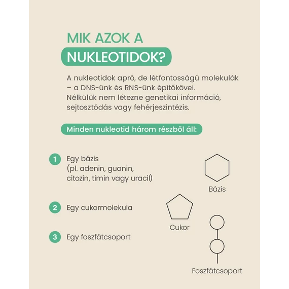Colon & Cell PRO – bélrendszert támogató nukleotid komplex 60 kapszula 