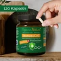 Kép 4/11 - Immun & Cell PRO – sejtszintű immuntámogató nukleotid komplex 60 kapszula 